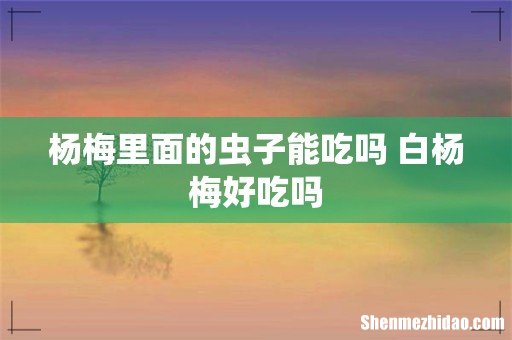 杨梅里面的虫子能吃吗 白杨梅好吃吗