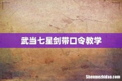 武当七星剑带口令教学