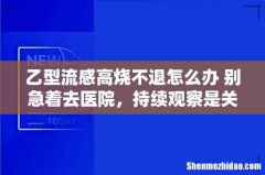 乙型流感高烧不退怎么办 别急着去医院，持续观察是关键！