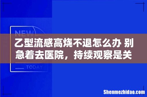 乙型流感高烧不退怎么办 别急着去医院,持续观察是关键!