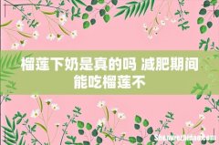 榴莲下奶是真的吗 减肥期间能吃榴莲不