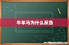 牛羊马为什么反刍