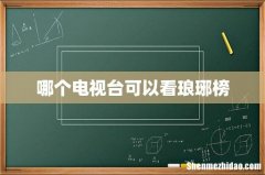 哪个电视台可以看琅琊榜