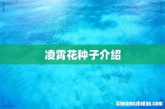 凌霄花种子介绍