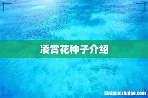 凌霄花种子介绍