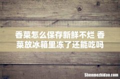 香菜怎么保存新鲜不烂 香菜放冰箱里冻了还能吃吗