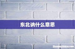 东北讷什么意思