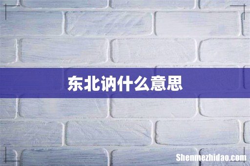 东北讷什么意思