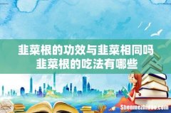 韭菜根的功效与韭菜相同吗 韭菜根的吃法有哪些