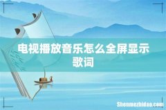 电视播放音乐怎么全屏显示歌词