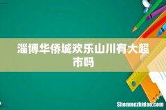 淄博华侨城欢乐山川有大超市吗