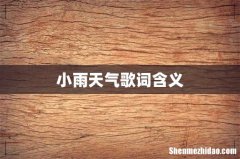小雨天气歌词含义