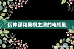 厉仲谋和吴桐主演的电视剧