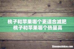 桃子和苹果哪个更适合减肥 桃子和苹果哪个热量高