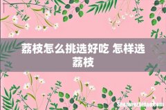 荔枝怎么挑选好吃 怎样选荔枝