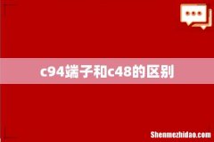 c94端子和c48的区别