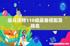 战斗法师110级装备搭配及排名