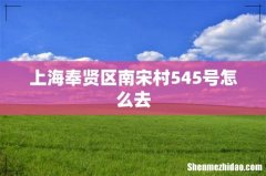 上海奉贤区南宋村545号怎么去