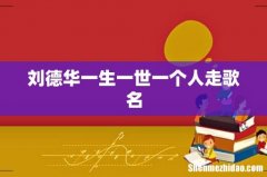 刘德华一生一世一个人走歌名