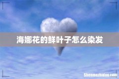 海娜花的鲜叶子怎么染发