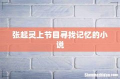 张起灵上节目寻找记忆的小说