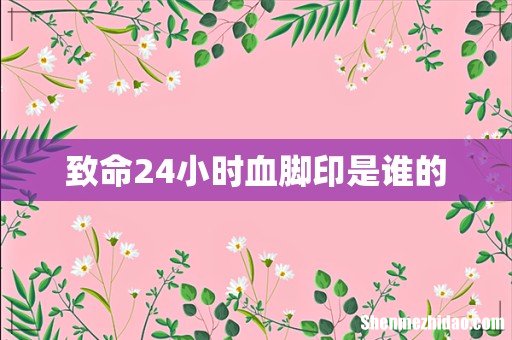 致命24小时血脚印是谁的