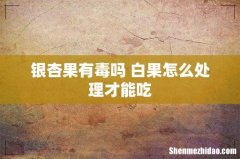 银杏果有毒吗 白果怎么处理才能吃