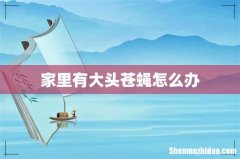 家里有大头苍蝇怎么办
