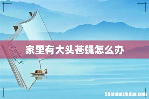 家里有大头苍蝇怎么办