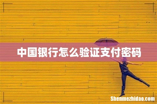 中国银行怎么验证支付密码