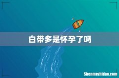 白带多是怀孕了吗