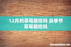 12月的草莓能吃吗 反季节草莓能吃吗