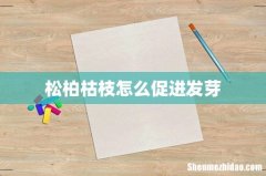 松柏枯枝怎么促进发芽