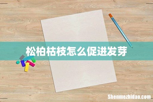 松柏枯枝怎么促进发芽