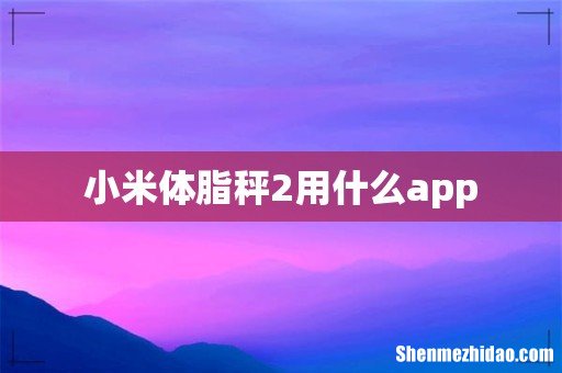 小米体脂秤2用什么app