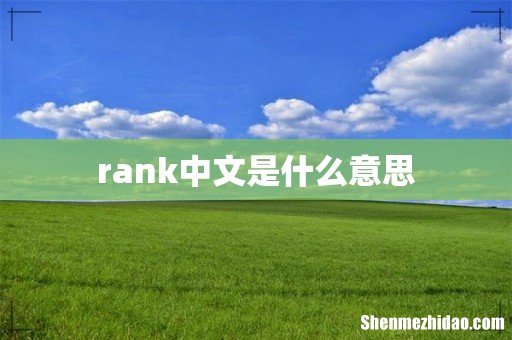 rank中文是什么意思
