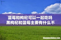蓝莓和枸杞可以一起吃吗 黑枸杞和蓝莓主要有什么不同