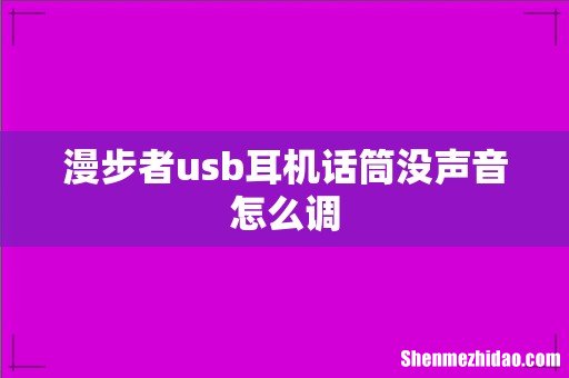 漫步者usb耳机话筒没声音怎么调