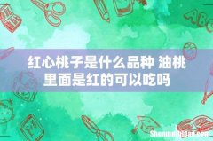 红心桃子是什么品种 油桃里面是红的可以吃吗