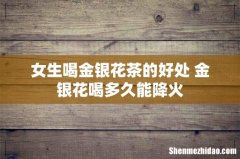 女生喝金银花茶的好处 金银花喝多久能降火