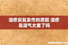 湿疹反复发作的原因 湿疹是湿气太重了吗