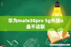 华为mate30pro 5g外接u盘不读取