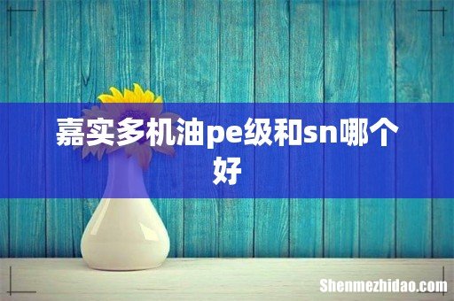 嘉实多机油pe级和sn哪个好
