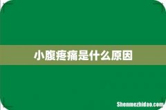 小腹疼痛是什么原因