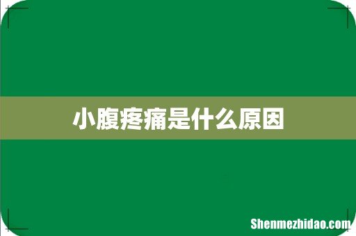 小腹疼痛是什么原因