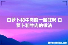 白萝卜和牛肉能一起吃吗 白萝卜和牛肉的做法