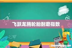 飞跃龙腾轮胎耐磨指数