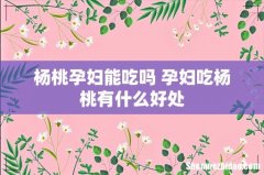 杨桃孕妇能吃吗 孕妇吃杨桃有什么好处
