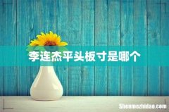 李连杰平头板寸是哪个