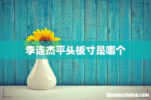 李连杰平头板寸是哪个